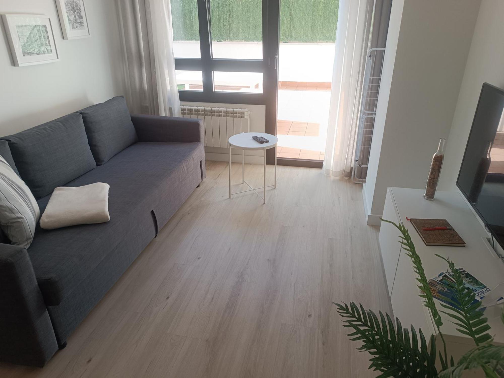 La Terraza De La Vega - Ubicacion Inmejorable , Wifi , Terraza Y Parking Gratuito Apartment Oviedo Bagian luar foto